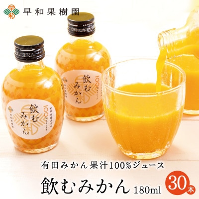 【早和果樹園】飲むみかん180ml×30本入|有田みかん100%ストレートジュース
