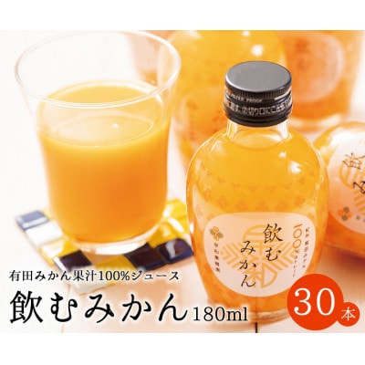 【早和果樹園】飲むみかん180ml×30本入|有田みかん100%ストレートジュース