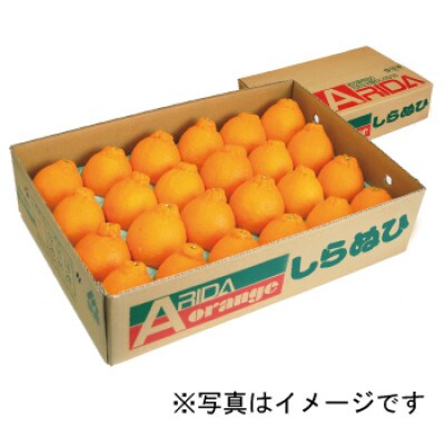 早和果樹園の不知火 約5kg
