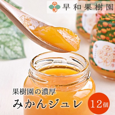 【早和果樹園】濃厚みかんジュレ×12個入
