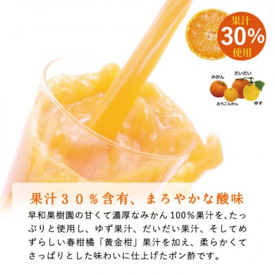 【早和果樹園】みかポン900ml×3本入