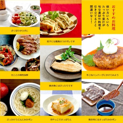 【早和果樹園】みかポン900ml×3本入