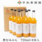 【早和果樹園】飲むみかん(大瓶)9本入|有田みかん100%ストレートジュース