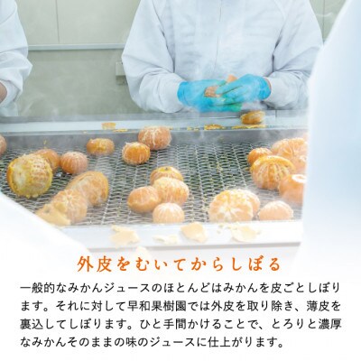 【早和果樹園】味まろしぼり(大瓶)9本入|有田みかん100%ストレートジュース
