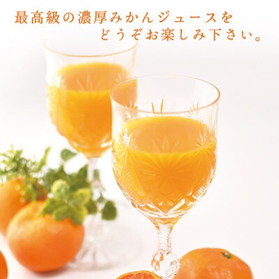【早和果樹園】味こいしぼり(大瓶)9本入|有田みかん100%ストレートジュース