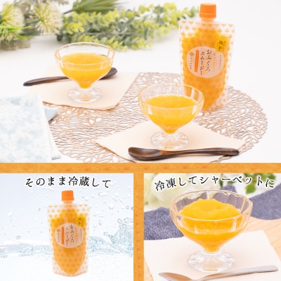 【早和果樹園】おふくろスムージーみかんと柚子 12本入|飲むみかんゼリー(パウチタイプのジュレ)
