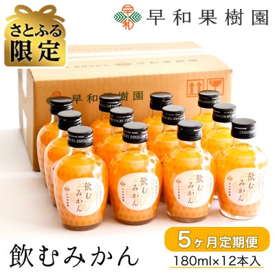 【毎月定期便】【さとふる限定】早和果樹園　飲むみかん180ml×12本入　全5回