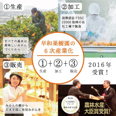 【毎月定期便】【さとふる限定】早和果樹園　飲むみかん180ml×12本入　全5回