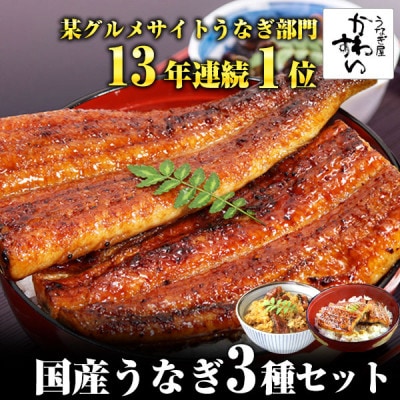 国産うなぎ蒲焼き・3種(計300g)セット