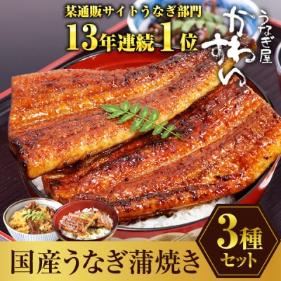 国産うなぎ蒲焼き 3種セット(総量300g以上)