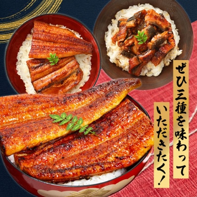 国産うなぎ蒲焼き 3種セット(総量300g以上)