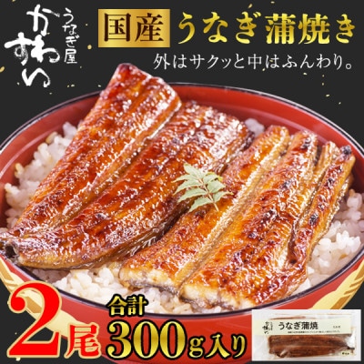 国産うなぎ蒲焼2尾セット(総量300g以上)