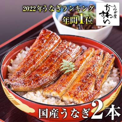 大サイズ　国産うなぎ蒲焼　2本(300g～338g)