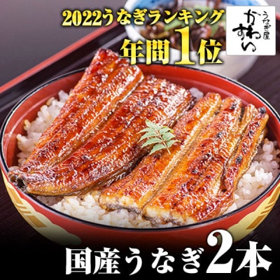 【寄付額変更 15,000円→13,000円】大サイズ　国産うなぎ蒲焼　2尾(300g～338g)