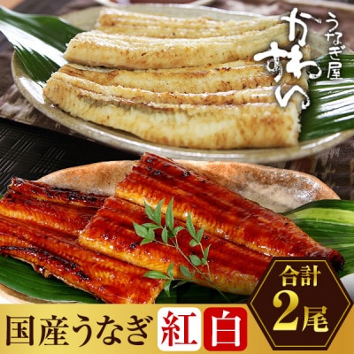 国産うなぎ 蒲焼き・白焼き 合計2尾セット (総量270g以上)
