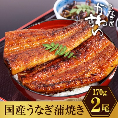 国産うなぎ蒲焼2尾セット(総量340g以上)