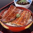 国産うなぎ蒲焼き2本(計240g~298g)セット