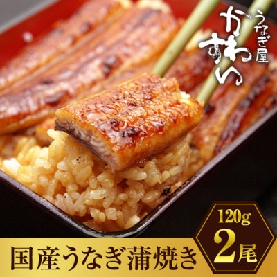 国産うなぎ蒲焼2尾セット(総量240g以上)