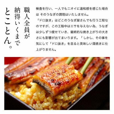 大きいサイズの国産うなぎ蒲焼き2本(計460g)