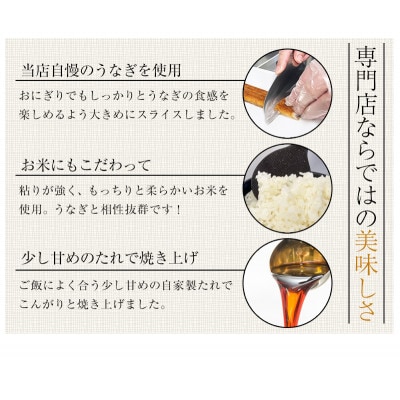 国産うなぎの焼きおにぎり6個
