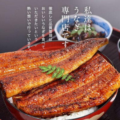 国産うなぎの焼きおにぎり6個