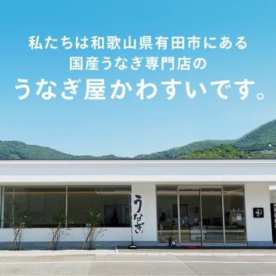 国産うなぎの焼きおにぎり6個