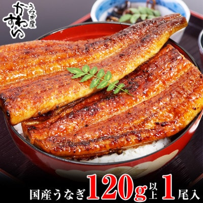 国産うなぎ蒲焼き1本(計120g~149g)