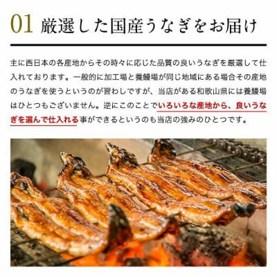 国産うなぎ蒲焼き1本(計120g~149g)