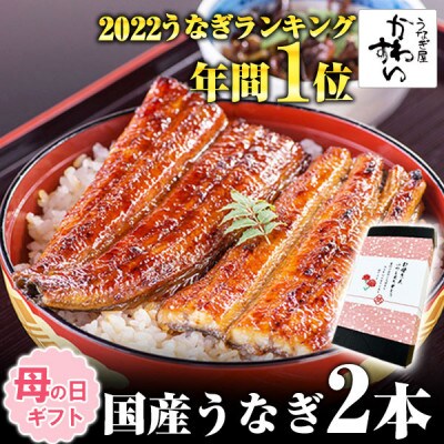 母の日ギフト 国産うなぎ蒲焼2本300gセット