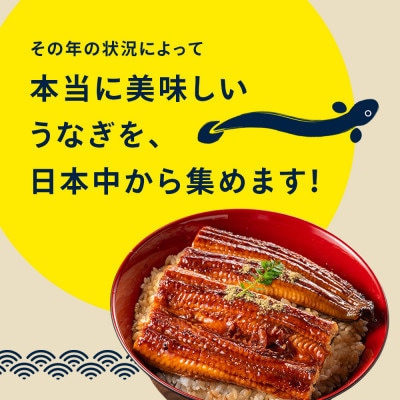 国産うなぎ蒲焼1尾(170g以上)