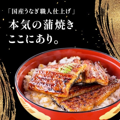 国産うなぎ蒲焼1尾(170g以上)