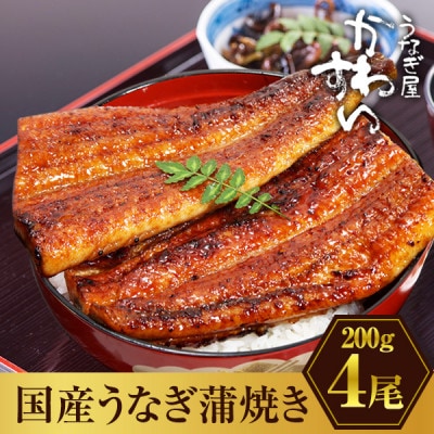 大きい! 国産うなぎ蒲焼4尾セット(総量800g以上)