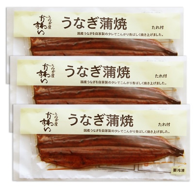 大きい! 国産うなぎ蒲焼3尾セット(総量600g以上)