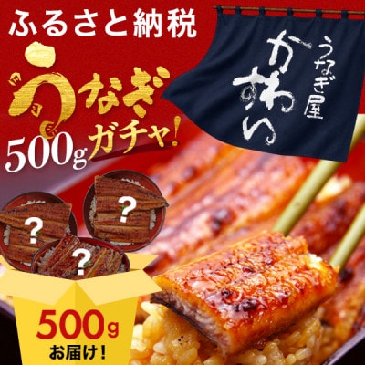 国産うなぎガチャ福袋!国産うなぎが500g入り