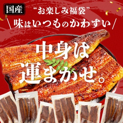 国産うなぎガチャ福袋!国産うなぎが500g入り