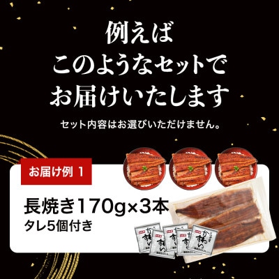 国産うなぎガチャ福袋!国産うなぎが500g入り