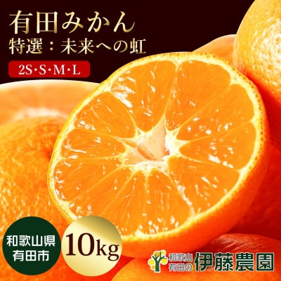 有田みかん「未来への虹」約10kg(伊藤農園)