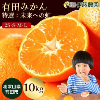 有田みかん「未来への虹」約10kg(伊藤農園)