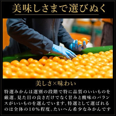 有田みかん「未来への虹」約10kg(伊藤農園)