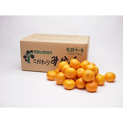 有田市認定みかん約5kg(伊藤農園)