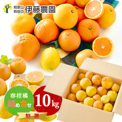 伊藤農園の旬の柑橘詰め合わせ　10kg