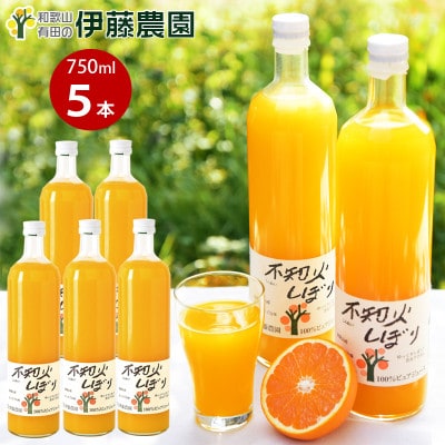 伊藤農園100%ピュアジュース　不知火(750ml×5本)