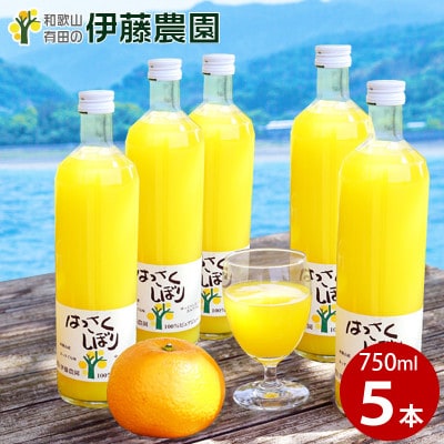 伊藤農園100%ピュアジュース　はっさく大瓶(750ml×5本)