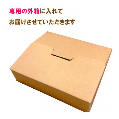 【御歳暮熨斗付】伊藤農園の100%ピュアジュース10本ギフトセット