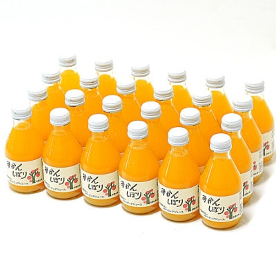 伊藤農園のみかんしぼり180ml×24本入りセット