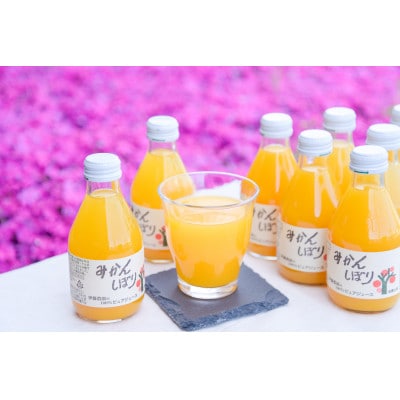 伊藤農園のみかんしぼり180ml×24本入りセット