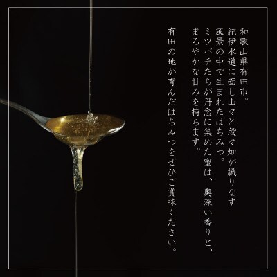 山花のはちみつチューブボトル300g3本