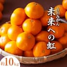 有田みかん「未来への虹」約10kg(藤田農園)