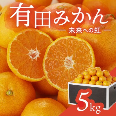【発送月固定定期便】不知火(しらぬい)約5kg　有田みかん「未来への虹」約5kgをお届け全2回