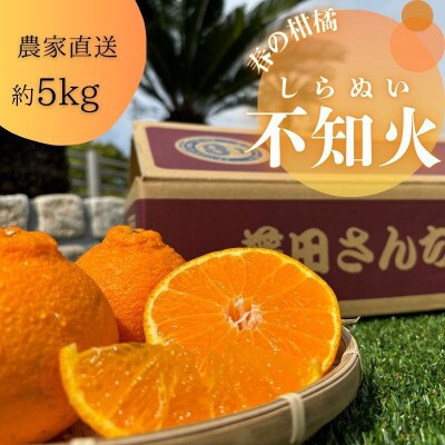 【発送月固定定期便】不知火(しらぬい)約5kg　有田みかん「未来への虹」約5kgをお届け全2回